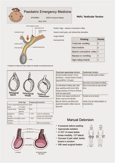 best test for testicular torsion|testicle torsion prognosis.